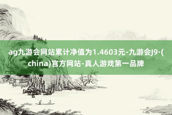 ag九游会网站累计净值为1.4603元-九游会J9·(china)官方网站-真人游戏第一品牌