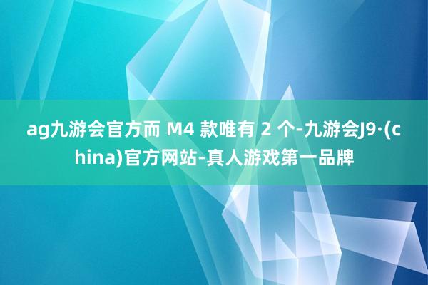 ag九游会官方而 M4 款唯有 2 个-九游会J9·(china)官方网站-真人游戏第一品牌