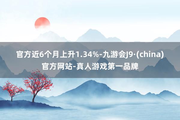 官方近6个月上升1.34%-九游会J9·(china)官方网站-真人游戏第一品牌
