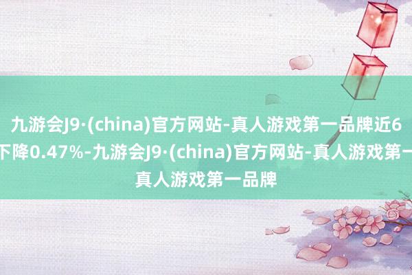 九游会J9·(china)官方网站-真人游戏第一品牌近6个月下降0.47%-九游会J9·(china)官方网站-真人游戏第一品牌